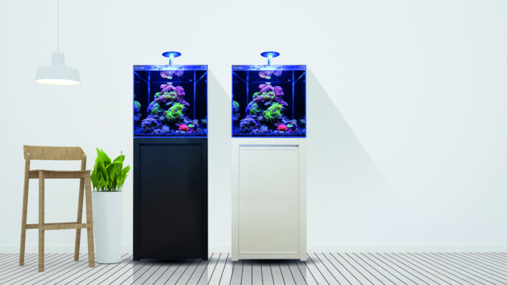 blue-marine-aquarium-125-730x411