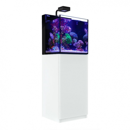 max nano blanc