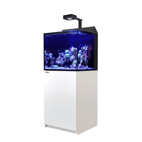 red-sea-max-e-170-blanc