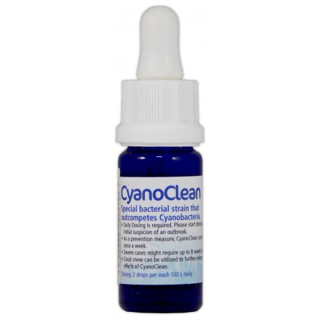 korallen-zucht-cyano-clean-10-ml-traitement-anti-cyanobacteries