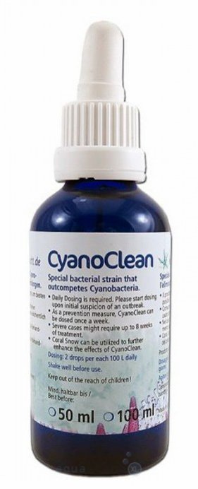 korallen-zucht-cyano-clean-10ml