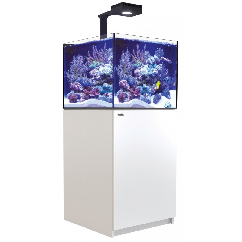 red-sea-reefer-deluxe-xl-200-blanc