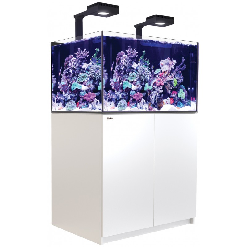 red-sea-reefer-deluxe-xl-300-blanc