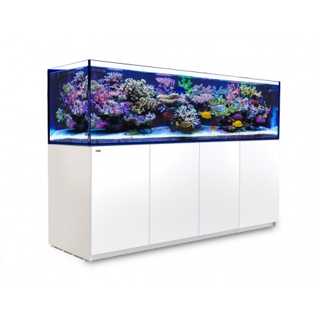 red-sea-reefer-3xl-900-blanc