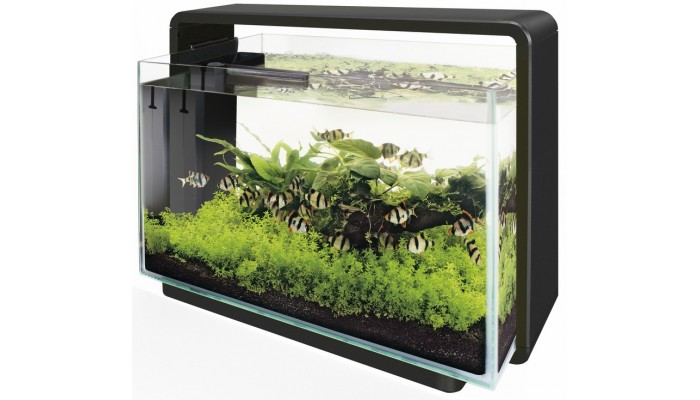 superfish_home_80_aquarium_zwart_A4051387-700x400