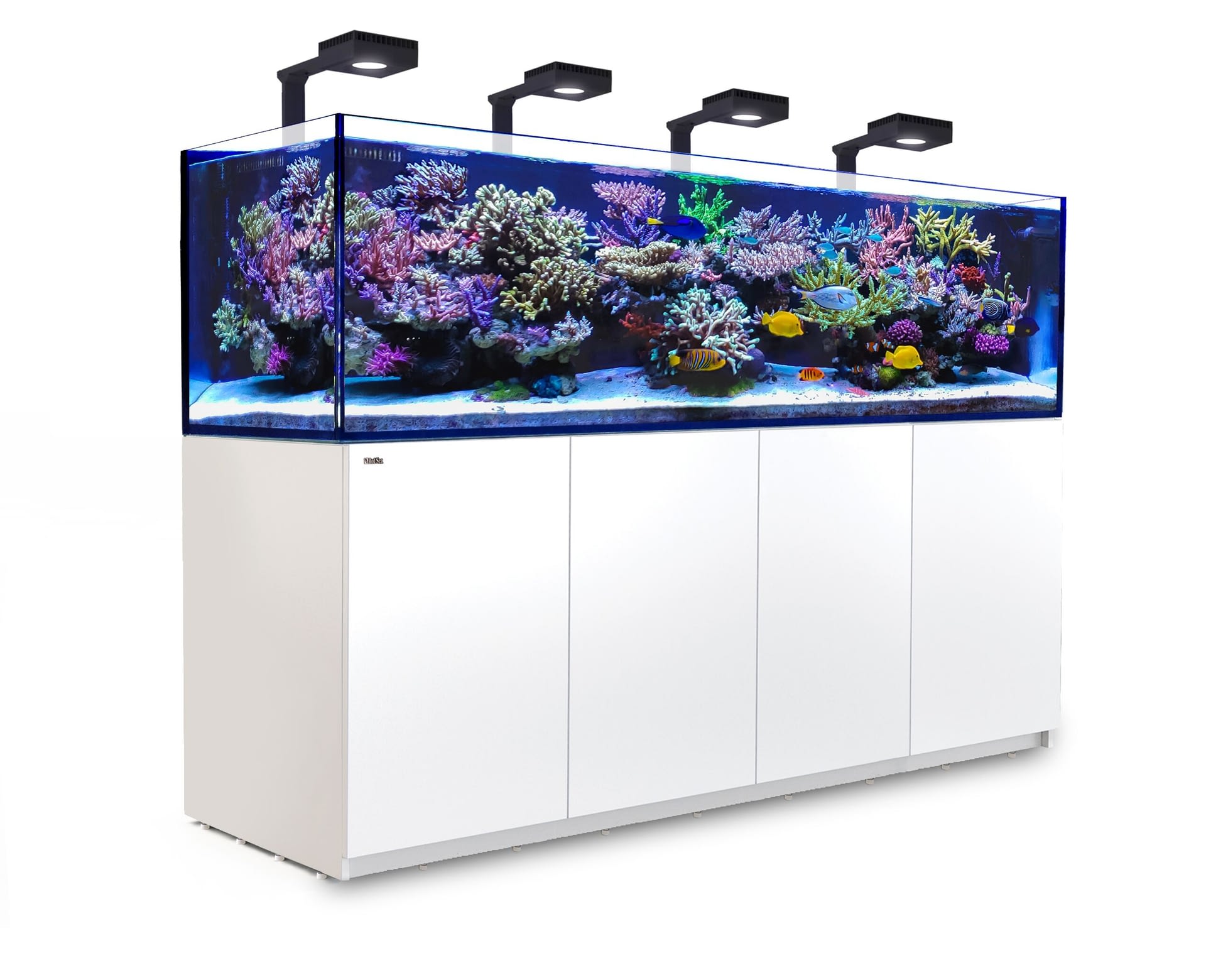reefer-3xl-900-blanc-deluxe-red-sea_bg