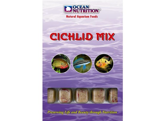 cichlid mix