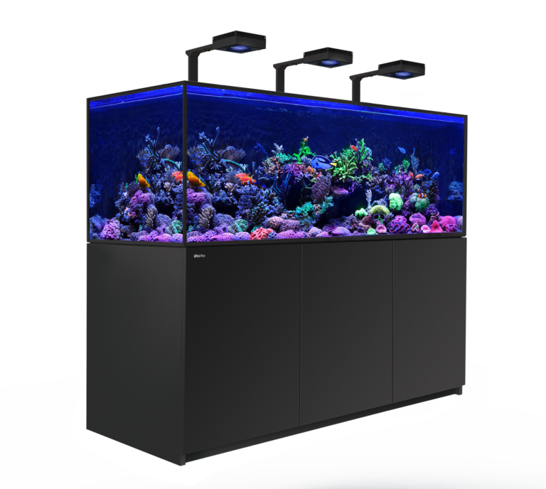 reefer-s-800-black-deluxe_bg-768x688