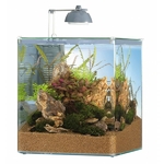 aquarium-eheim-aquastyle-35