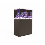 reefer-250-noir-redsea_bg