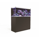 reefer-350-noir-redsea_bg