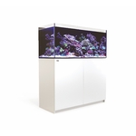 reefer-350-blanc-redsea_bg