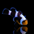 ChatGPT Image 28 nov. 2025, 20_33_49