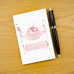 Carnet-Remington ok