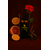 parfum olfazeta 022 termine