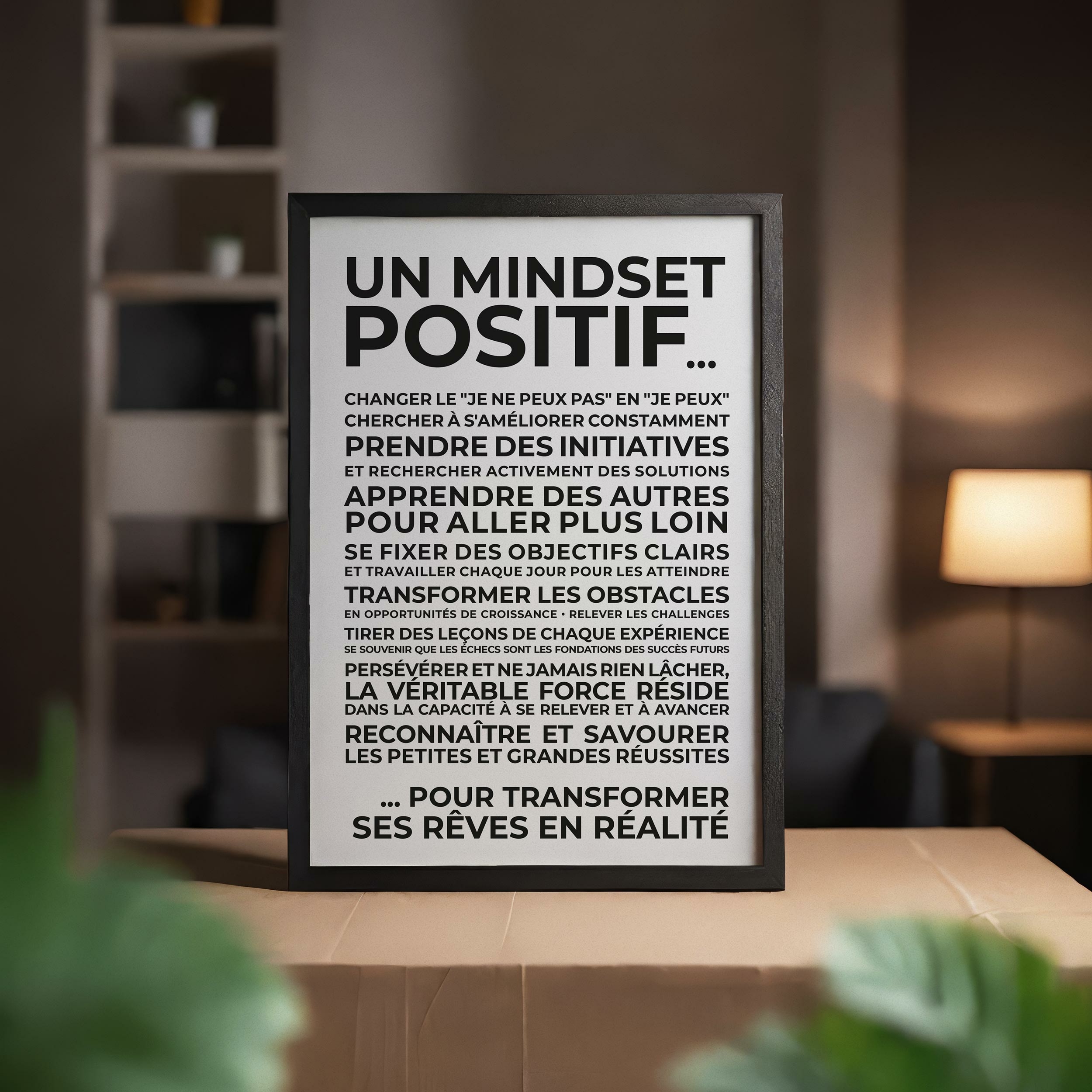 MINDSETA-2