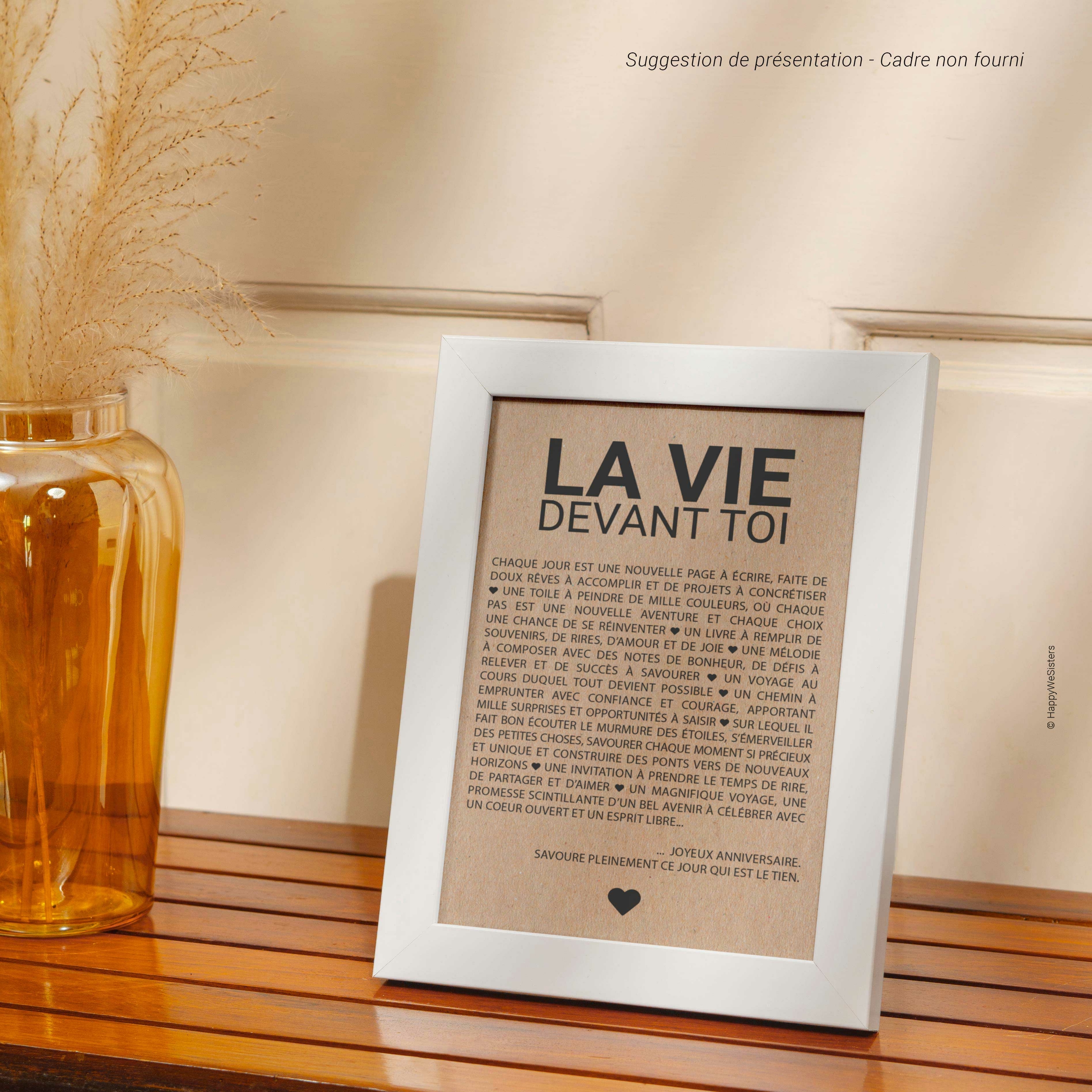 LA-VIE-DEVANT-TOI-cadre