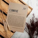AMITIE-MISE-EN-SITUATION