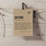 CARTE-DIPLOME-SUSPENSION