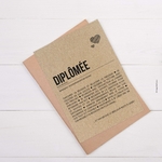 CARTE-DIPLOMEE-ENVELOPPE-KRAFT