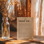 VRAIEVIEDECO4