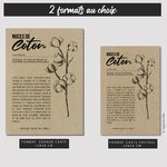 GABARIT 2 CARTES - NOCES COTON
