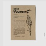 BASE - NOCE FROMENT