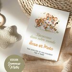 MES - MIXTES
