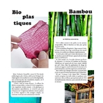 bambou