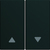 WXD300N