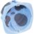 52070%20HD