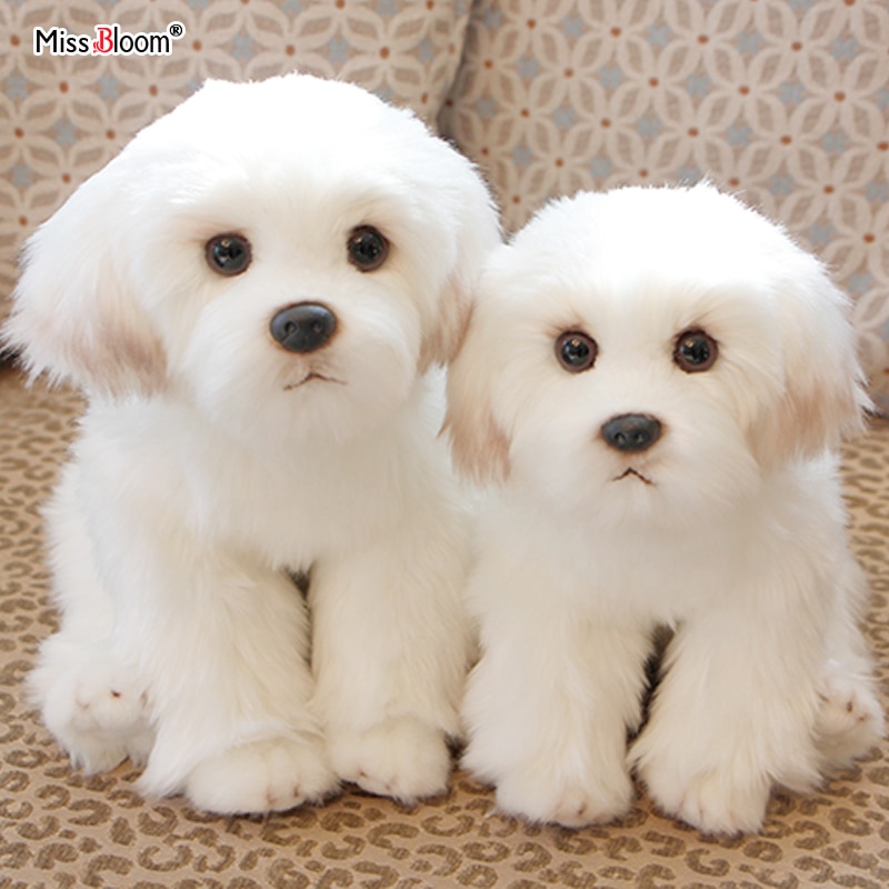 Bichon en peluche divers tailles