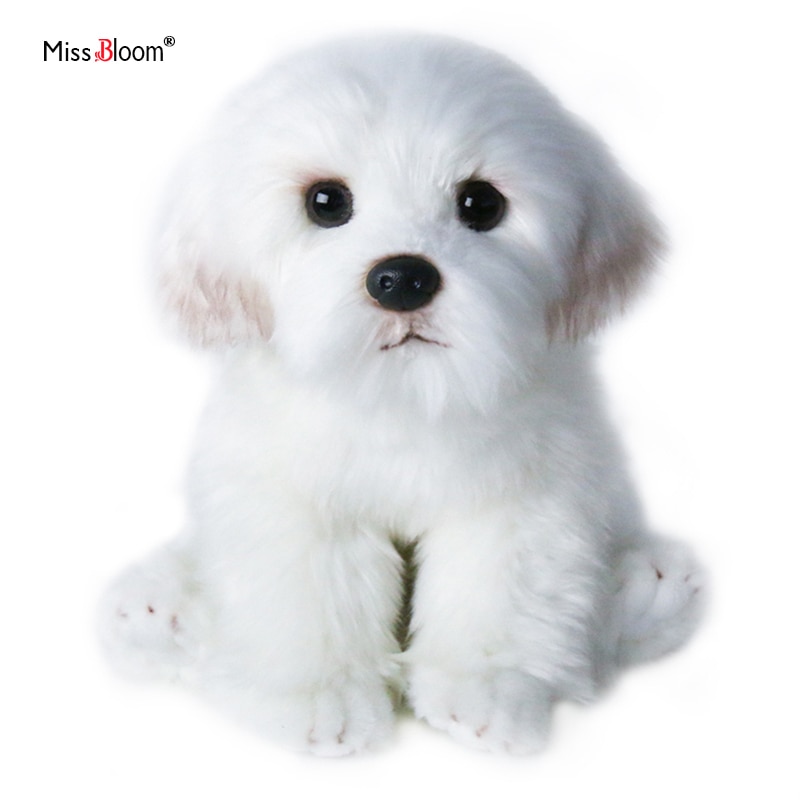 Bichon en peluche divers tailles