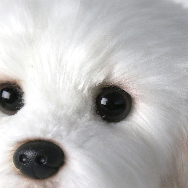 Bichon en peluche divers tailles