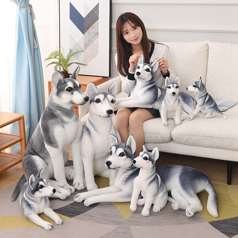 peluche husky geante 30 à 90 cm