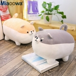 Peluche de shiba inu 40 - 50 cm