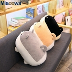 Peluche de shiba inu 40 - 50 cm