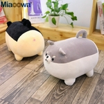 Peluche de shiba inu 40 - 50 cm