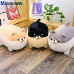 Peluche de shiba inu 40 - 50 cm