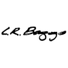 LR Baggs