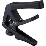 ECH-CAPO-CGC1-4-B