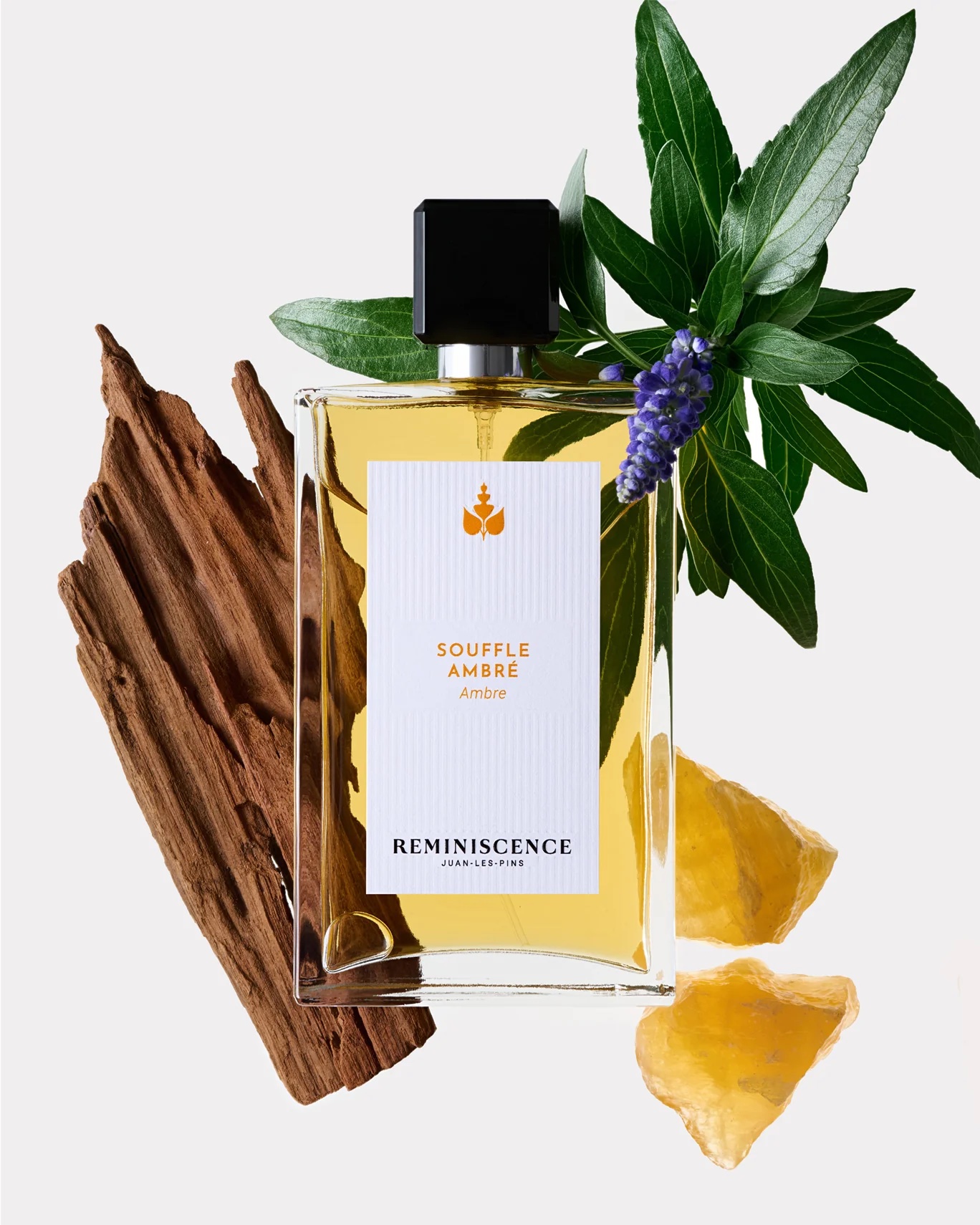 PARFUM_REMINISCENCE_SOUFFLE_AMBRE_1