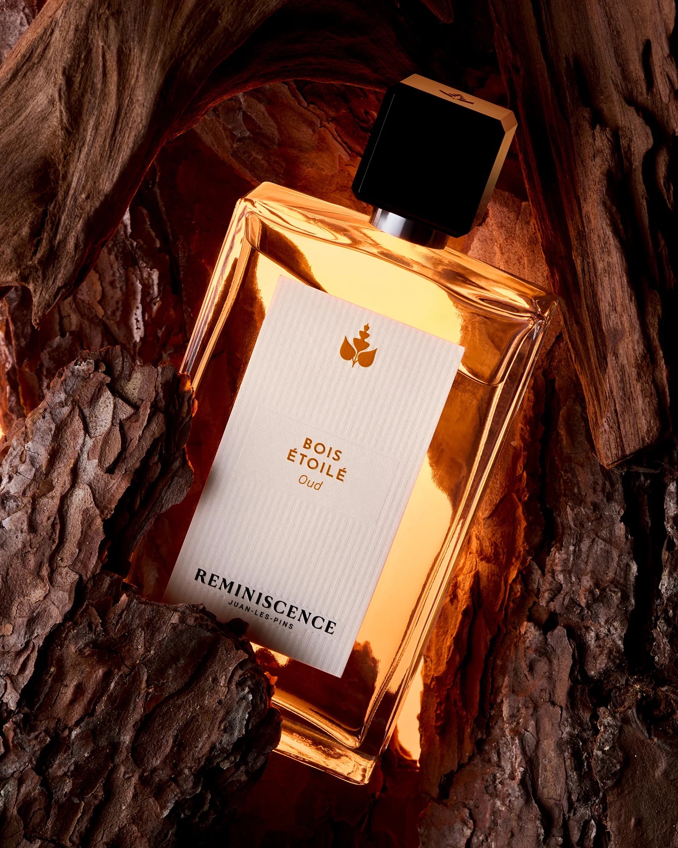 PARFUM_REMINISCENCE_OUD_BOIS_ETOILE_2