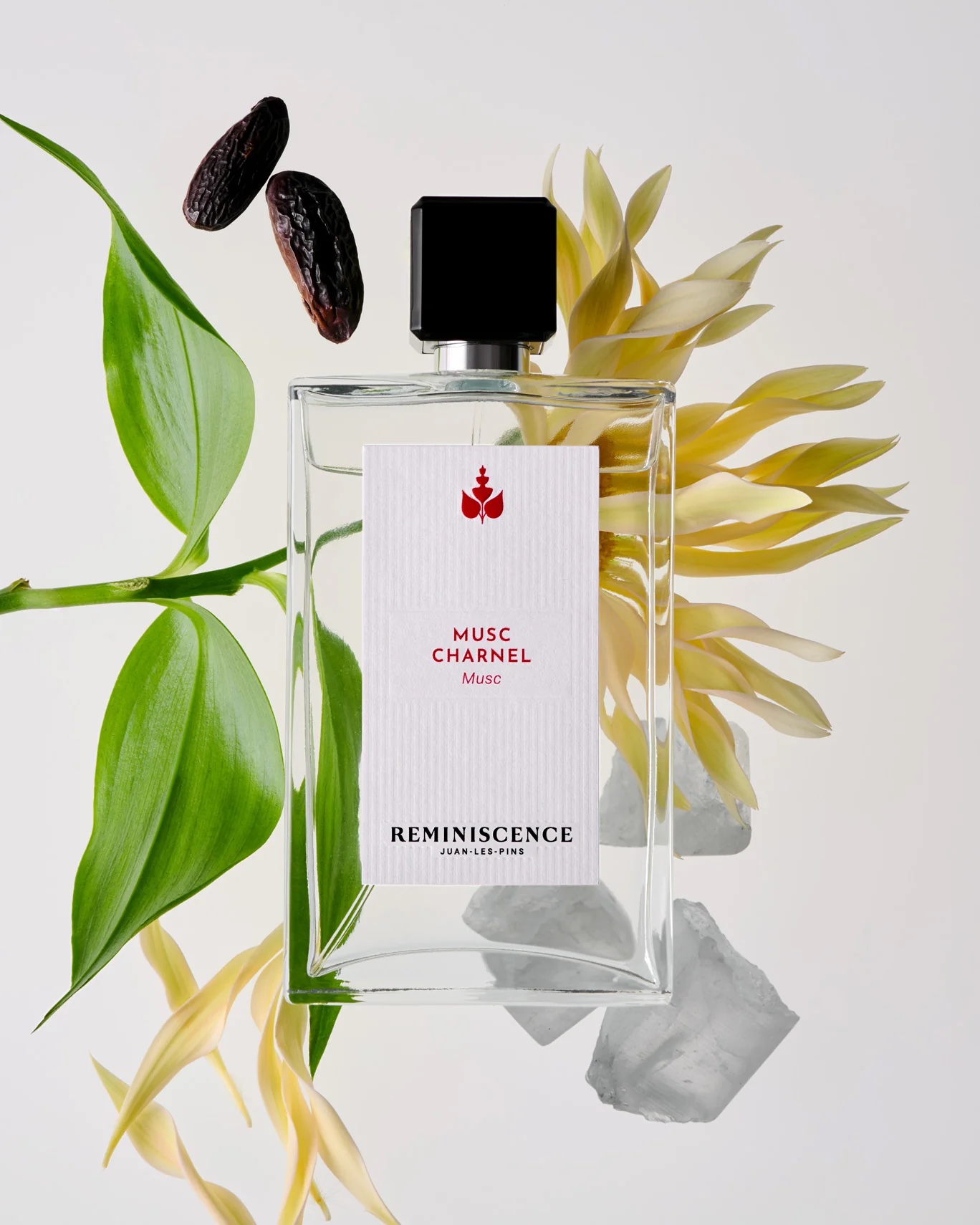 PARFUM_REMINISCENCE_MUSC_CHARNEL_1