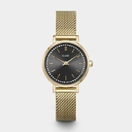 MONTRE_CLUSE_BOHO_CHIC_PETITE_CRYSTALS_MESH_GREY_GOLD_CW10501_110