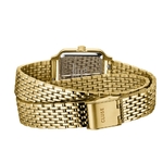 MONTRE_CLUSE_GRACIEUSE_PETITE_VERTE_BT_DOUBLLE_GOLD_139