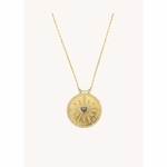 CO_MYABAY_LABRADORITE_HEART_COSMOS_2