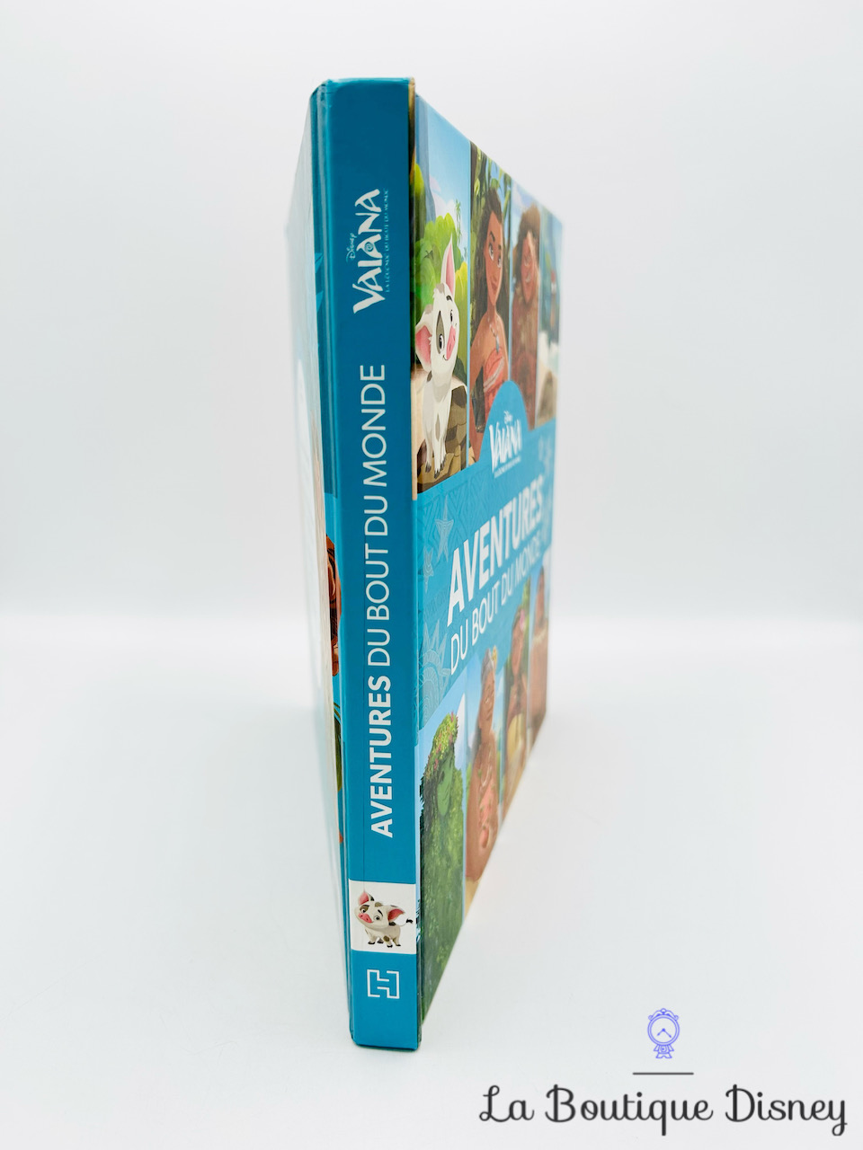 livre-aventures-au-bout-du-monde-vaiana-disney-hachette-4