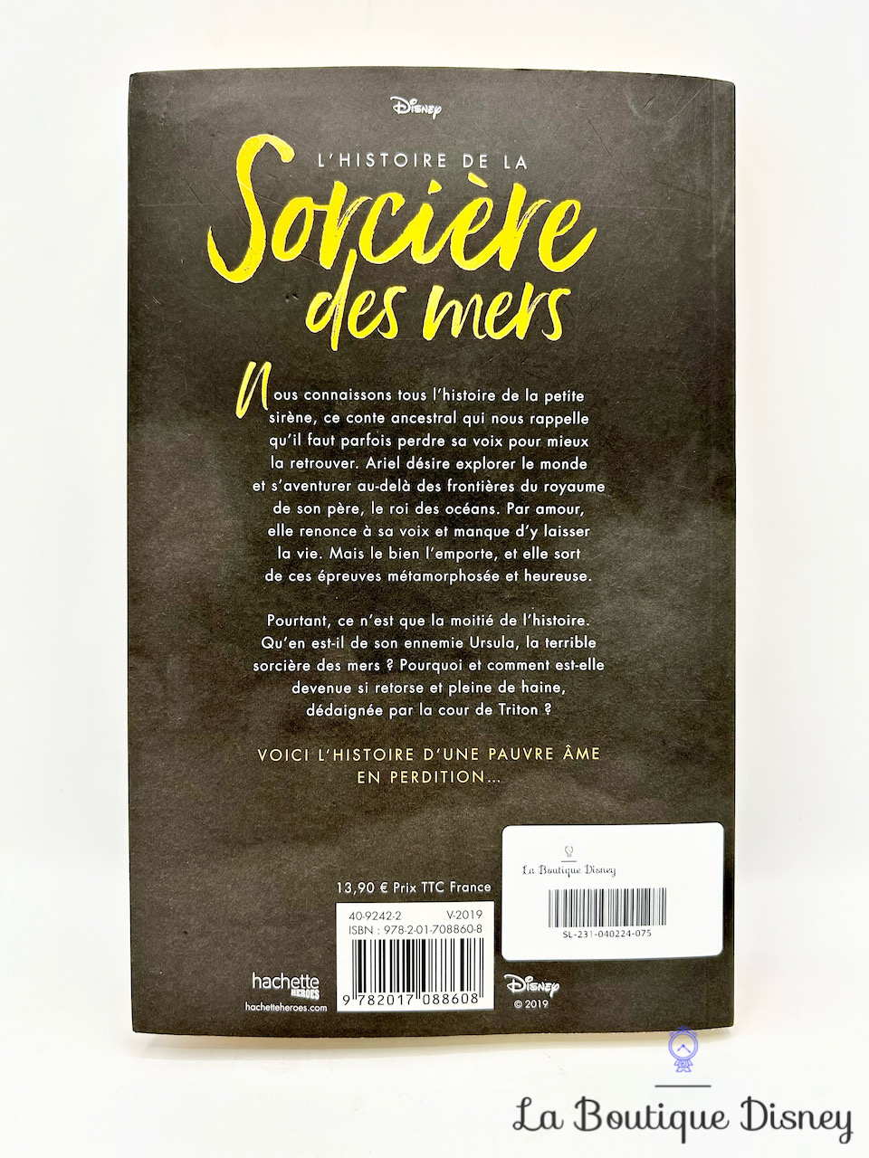 livre-pauvre-ame-en-perdition-disney-serena-valentino-hachette-heroes-1