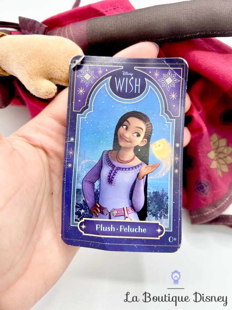 poupée-chiffon-dahlia-copine-asha-wish-disney-store-peluche (1)